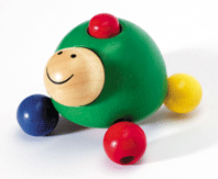 Pipa Tortoise Wooden Grasping Toy
