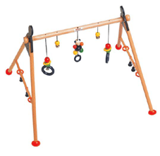 Activity Gym Grizzly  (kph762780)