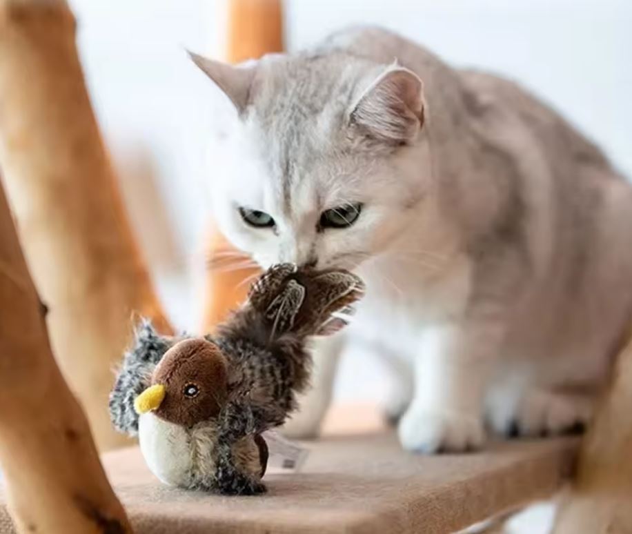 flappy bird cat toy