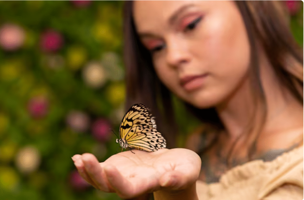Butterfly Farmer Butterfly Farmer